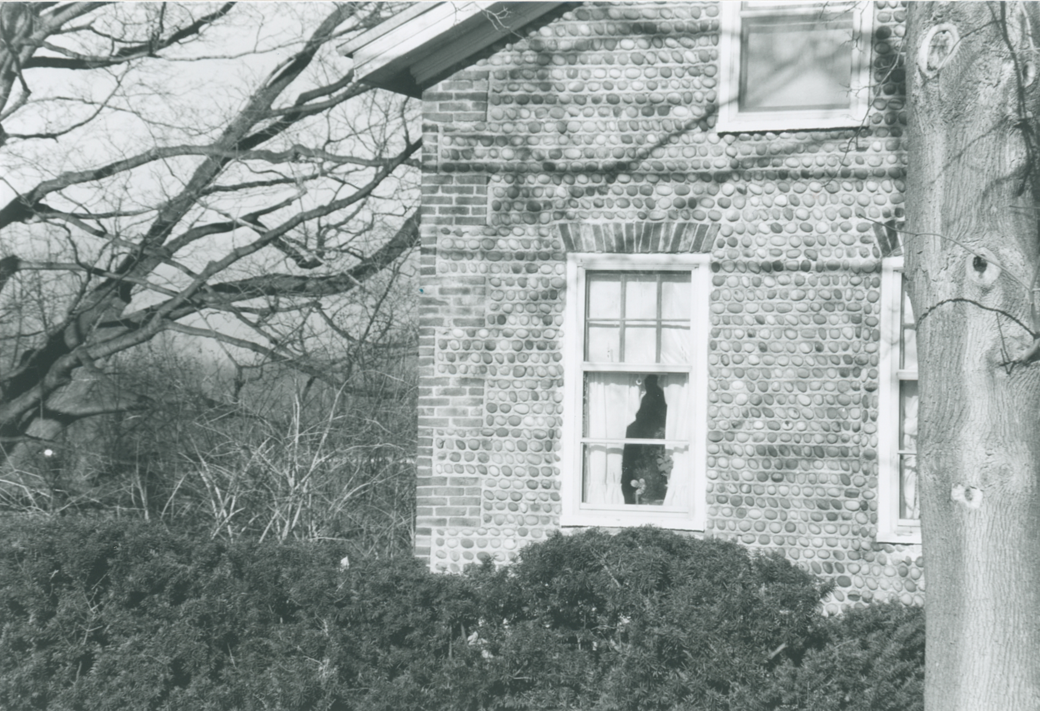 Wil-12 4535 Ridge Rd 3